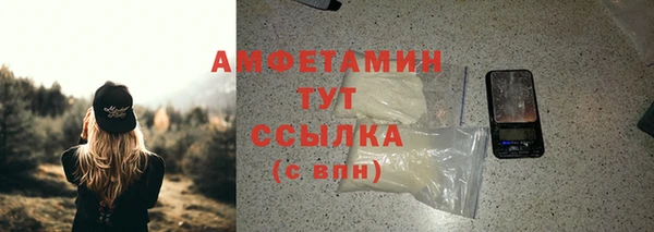 прущие грибы Гусь-Хрустальный
