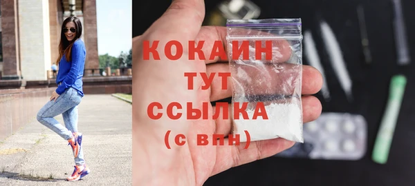 прущие грибы Гусь-Хрустальный