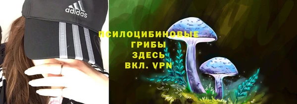 мдпв Нефтегорск