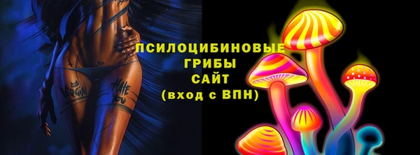 прущие грибы Гусь-Хрустальный