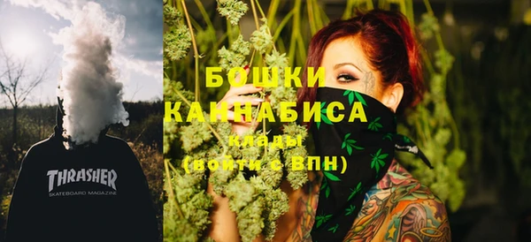 прущие грибы Гусь-Хрустальный