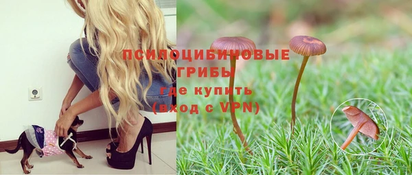 MESCALINE Гусиноозёрск